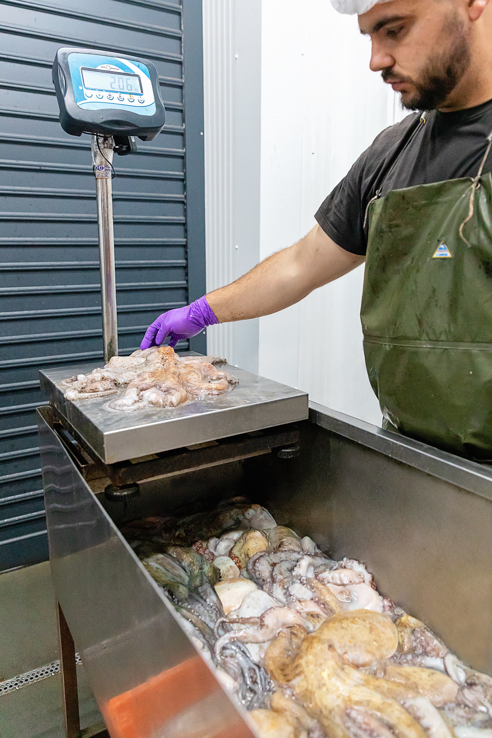 Operario pesando pulpo fresco en báscula industrial