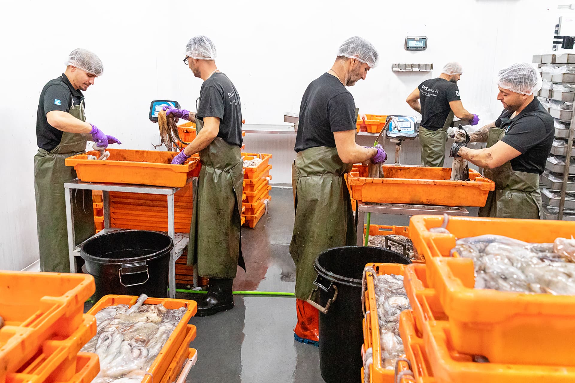 Equipo completo de operarios en sala de procesado con cajas naranjas
