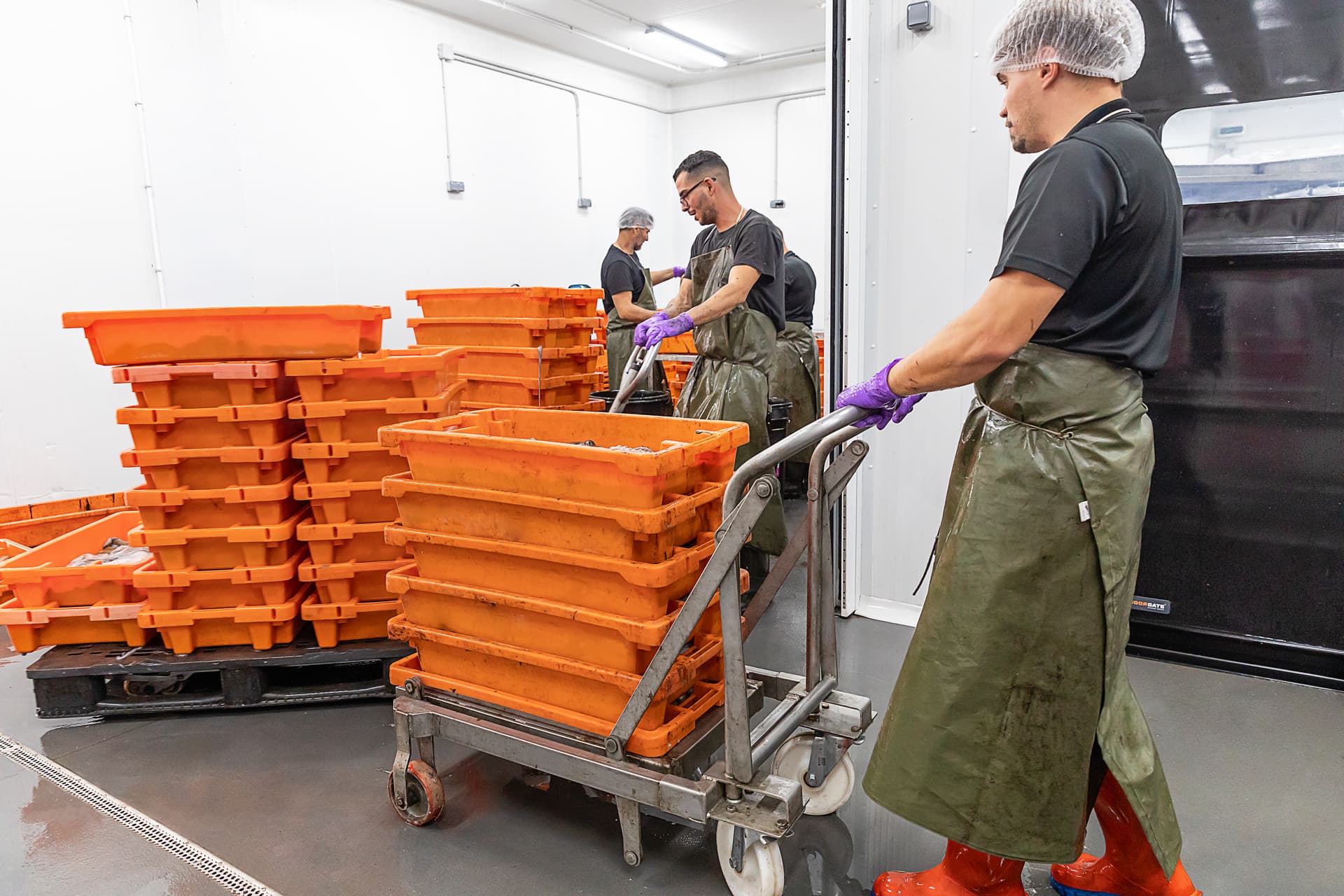 Operario trasladando cajas de pulpo hacia el túnel de frío