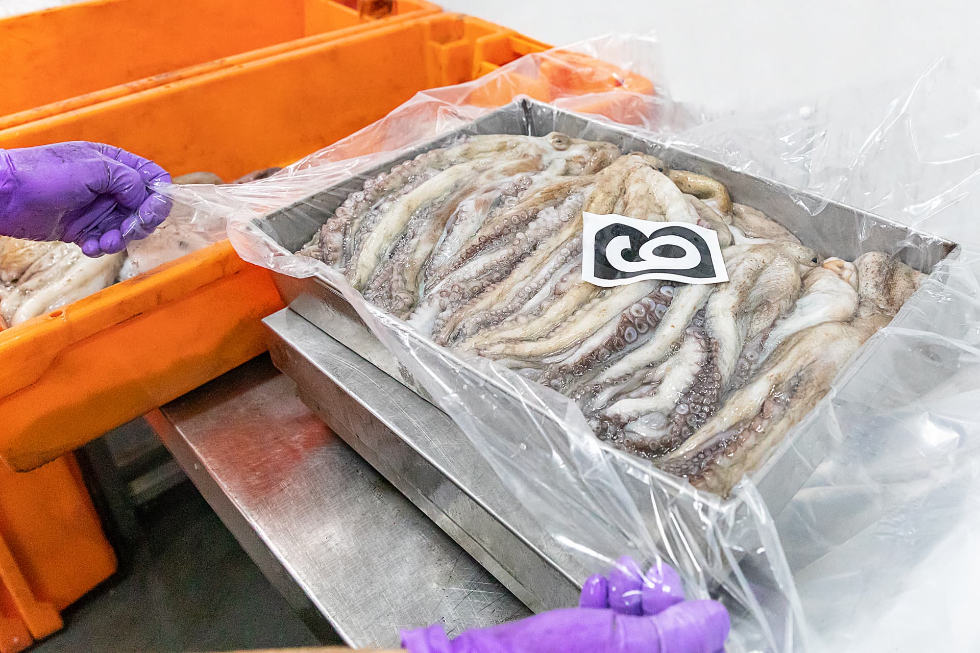 Bandeja de tentáculos de pulpo en bolsa con etiqueta de calibre