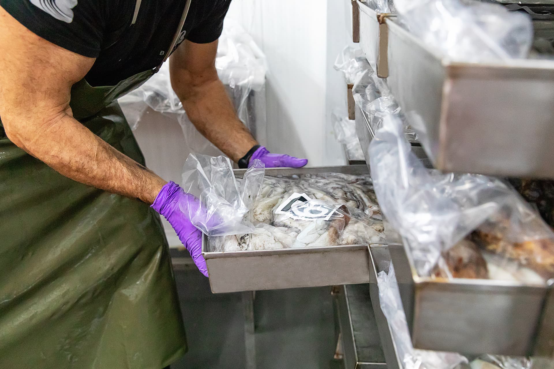 Operario introduciendo bandeja con pulpo en rack de congelación