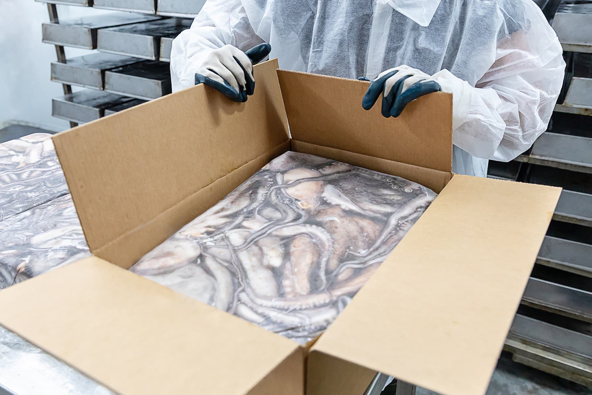 Operario introduciendo bloque de pulpo congelado en caja de cartón