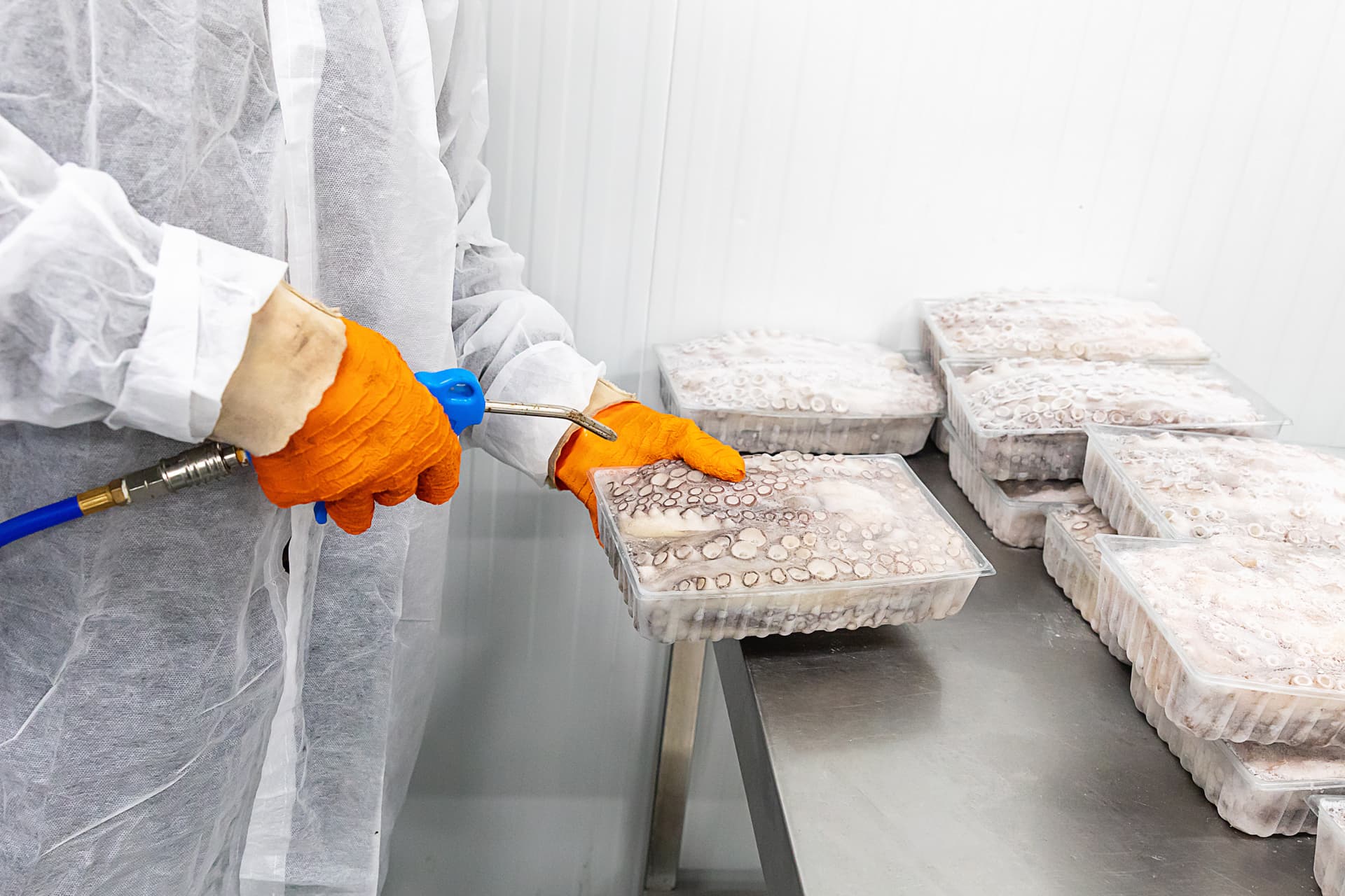 Operario glaseando bandejas de pulpo congelado