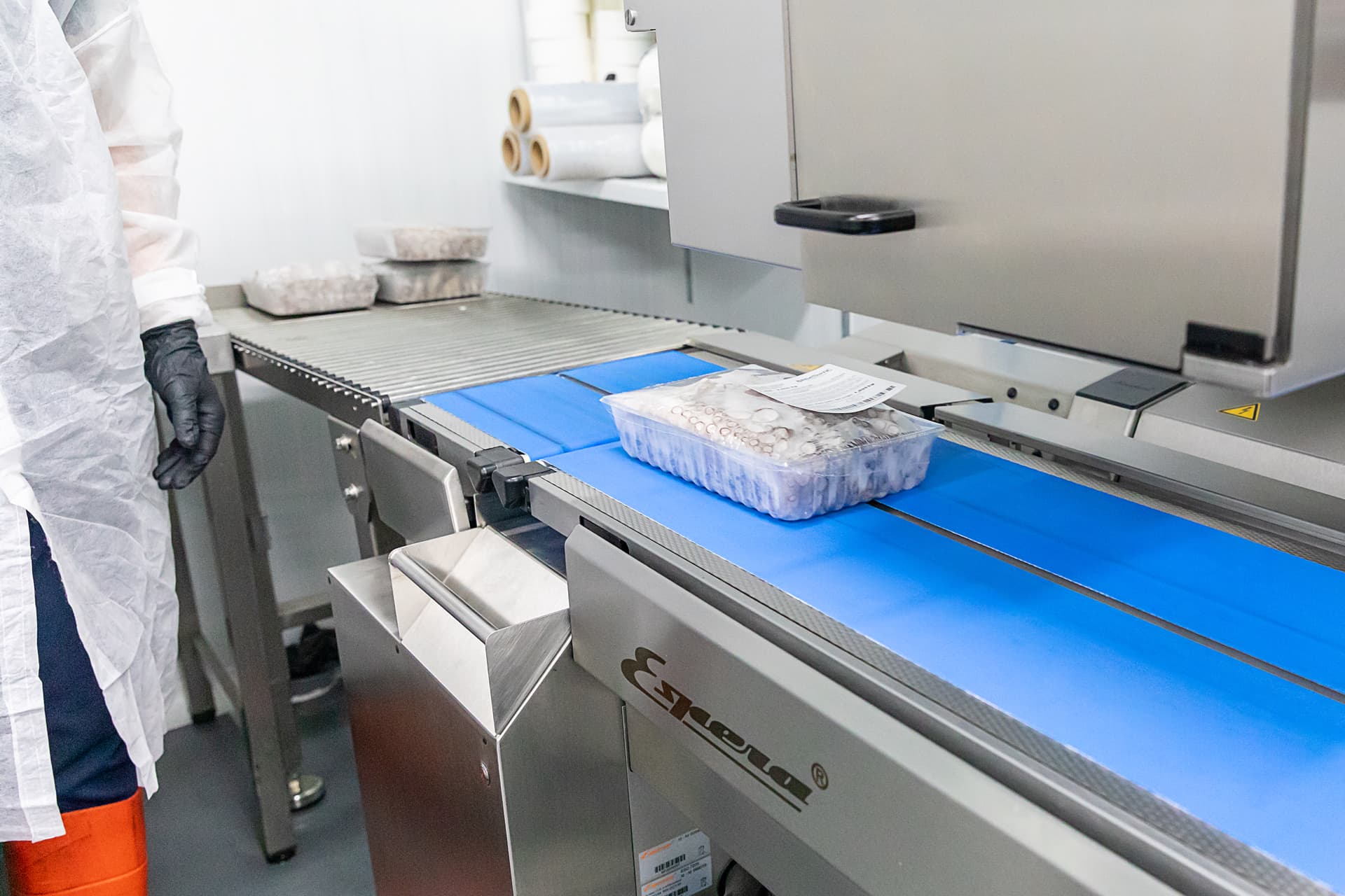 Cinta de la máquina de sellado Espera con bandeja de pulpo congelado