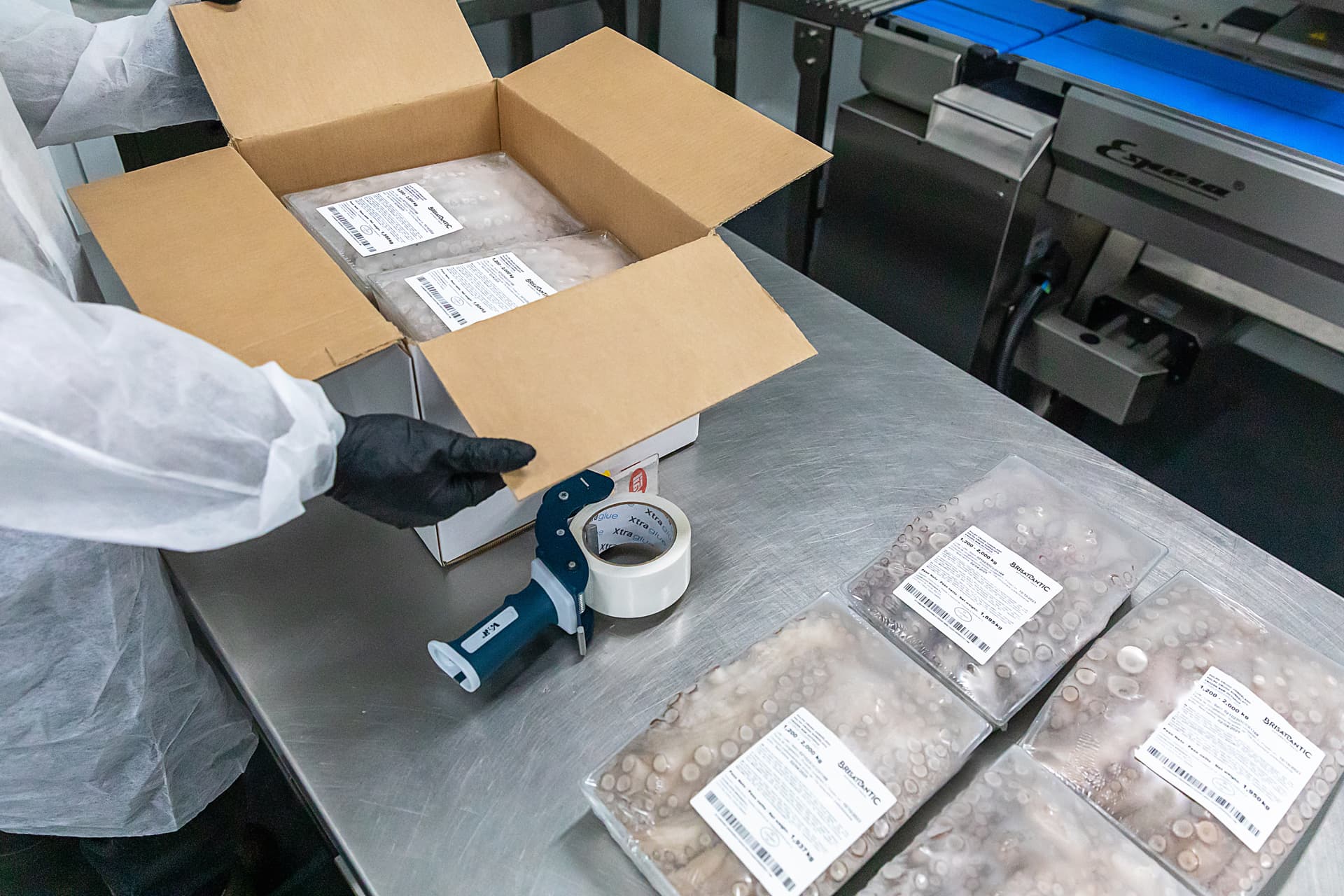 Operario introduciendo bandejas etiquetadas en caja de cartón