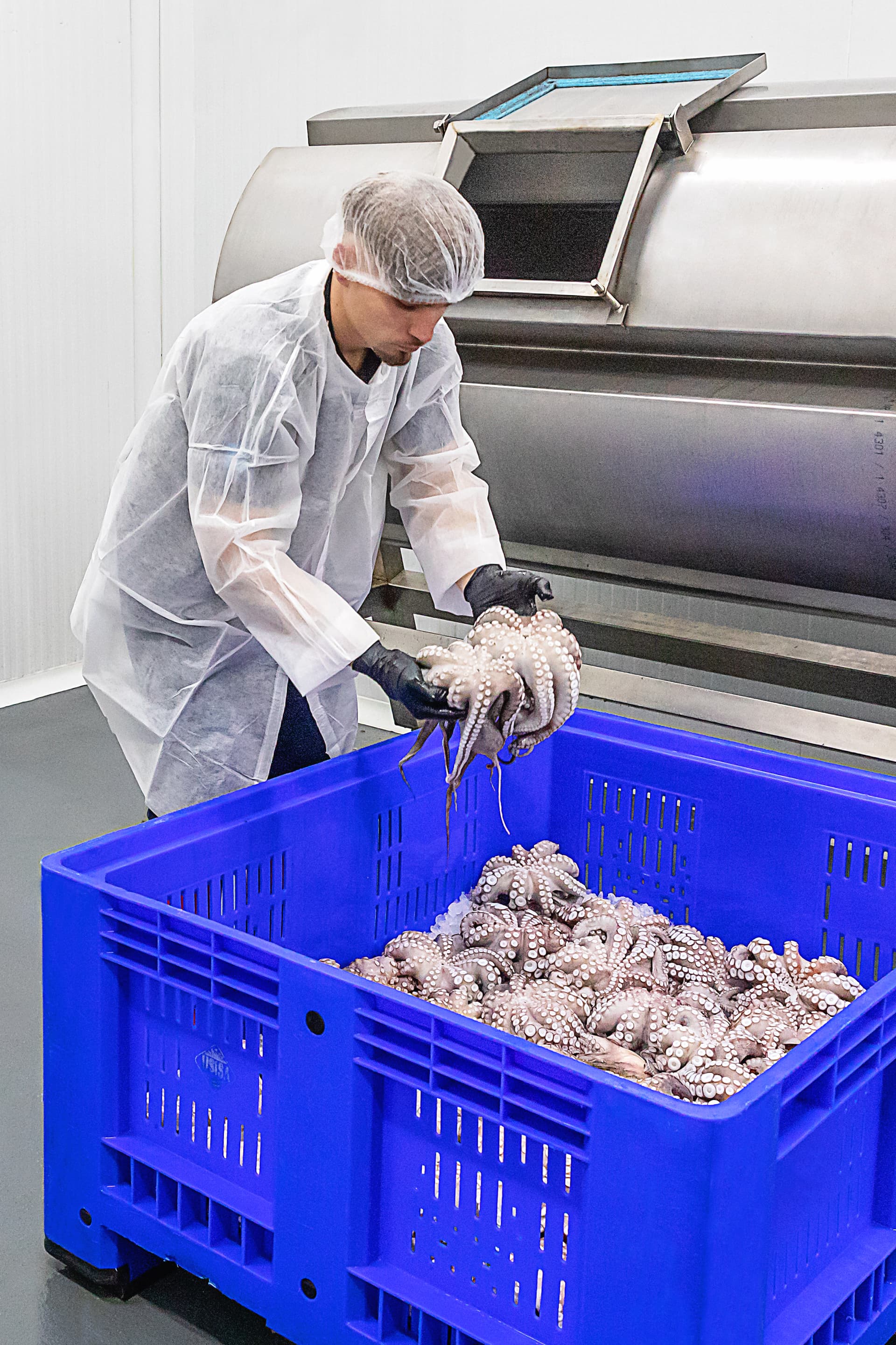 Operario extrayendo pulpo de tambor rotativo tras proceso de batido
