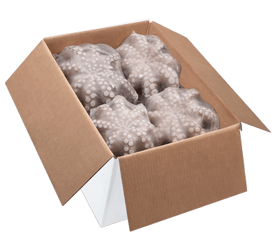 Pulpo en flor congelado IWP