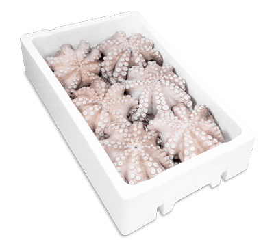 Pulpo en flor fresco